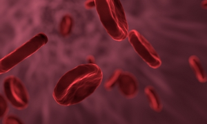 Gene therapy holds promise for blood disorder haemophilia: Doctors