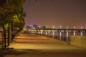 Suicide attempt by family thwarted by alert bystanders on Sabarmati Riverfront