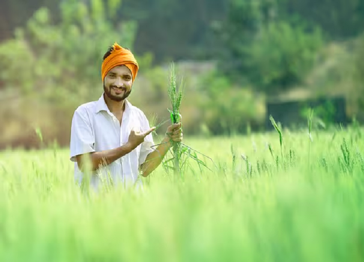 PM Kisan Yojana: Find out in a minute whether you will get the benefit of the scheme or not!