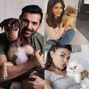 Pet parents Raveena, John Abraham, Priyamani, others share wisdom on a ‘pawrfect’ summer