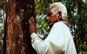 Padma Shri strengthens Dukhu Majhi’s resolve to carry forward his tree plantation mission