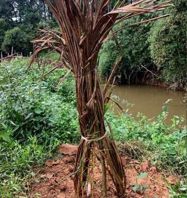 Kerala Police, Maoists exchange fire in Wayanad forest area