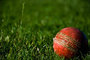 Legend Cricket League manager indicted for match-fixing in Sri Lanka