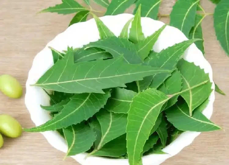 Beauty Tips: Make a face pack of Neem leaves, your face will get an amazing glow.