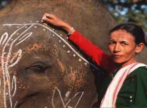 India’s first woman ‘mahout’ breaks the glass ceiling to win Padma Shri award