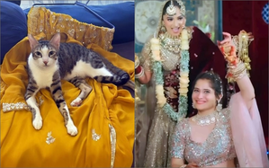 ‘Bigg Boss 13’ contestant Arti Singh’s cat lords over her wedding prep