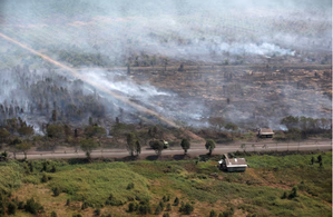 Indonesia braces for droughts, fires