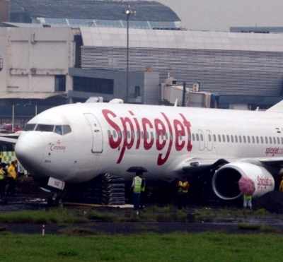 SpiceJet flight to Leh returns to Delhi after engine hit by bird