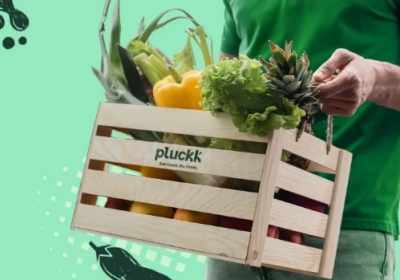 Pluckk clocks Rs 100 cr ARR, aims to double revenue in 12 months