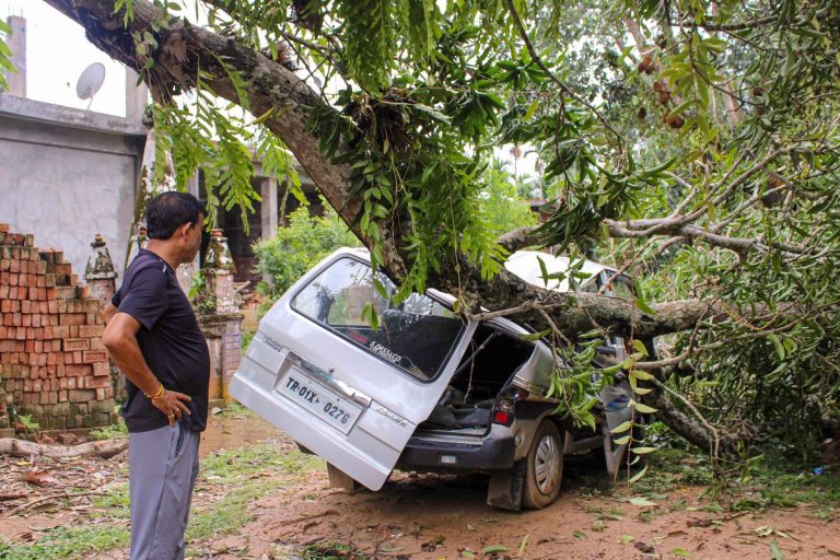 Cyclone Remal Aftermath: Trail Of Death And Destruction In Nagaland, West Bengal South Coast