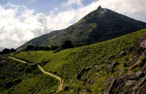 Forest department bans devotees from visiting Velliangiri hills in Coimbatore