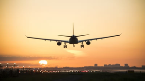 Domestic air passenger traffic surges in May 2024: ICRA report