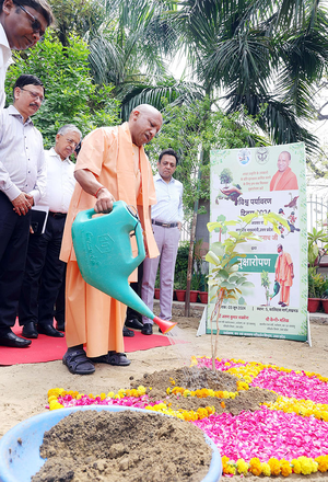 CM Yogi Adityanath plants a sandalwood sapling on World Environment Day