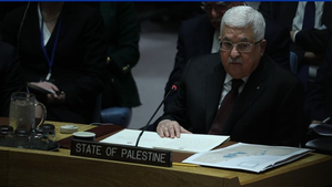 Palestine requests UN Security Council session over Israeli attacks on Gaza