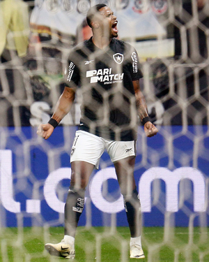 Botafogo beat Corinthians to lead Brazil's Serie A