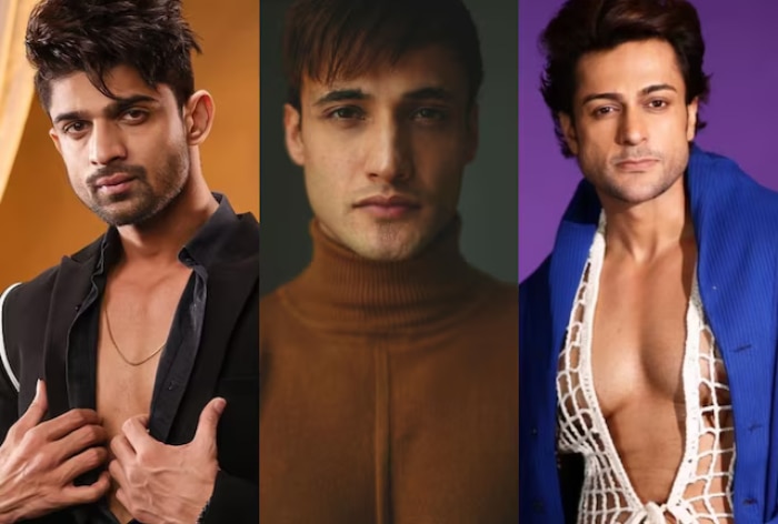 Asim Riaz’s Physical Attack Over Abhishek Kumar, Shalin Bhanot Causes Sudden Exit from KKK14