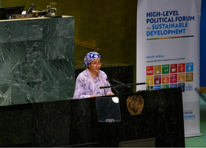 UN deputy chief urges immediate action for Sustainable Development Goals