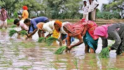 July begins with healthy rainfall, sowing status better than last year: Report