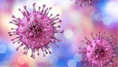 This symptomless herpes virus can harm newborns, organ transplant &
 HIV patients