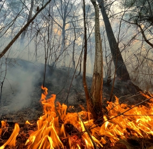 Over 28,000 under evacuation orders as fast-moving wildfire expands in California