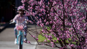 Above average temperatures forecast for spring in Australia