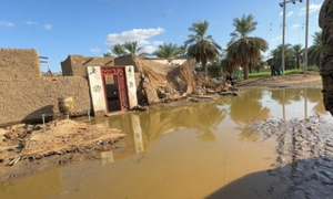 Death toll from heavy rain in Sudan rises to 53