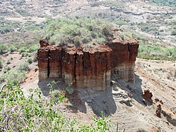 Fossil hotspots in Africa, a missing link in evolution