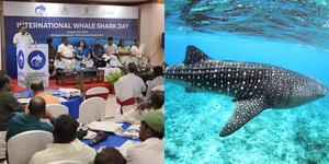 Kerala honours fishermen for rescuing endangered whale sharks