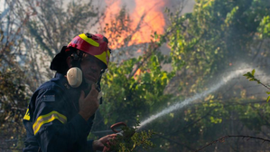 Greece: Major wildfire in Athens suburbs under control, leaving one dead