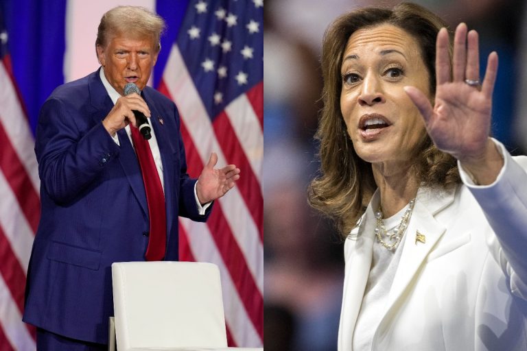 US Election 2024: 8 Swing States Which Will Decide Next US President In Donald Trump vs Kamala Harris Battle