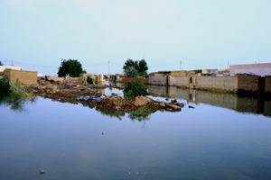 Floods affect over 4,72,000 in Sudan: UN relief agency