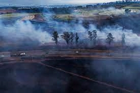 Air quality alert sounded in Brazilian capital