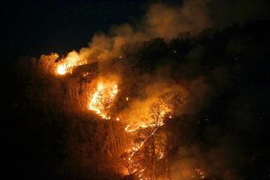 Wildfires cause loss of $182 mn in Brazil's Sao Paulo