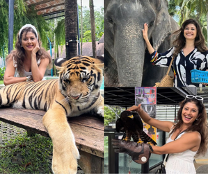 Pooja Batra share 'tiger tiger burning bright' moments from her
 Phuket trip