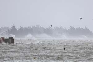 Super Typhoon Yagi leaves at least 2 dead in China