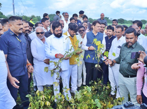 Maha CM, Deputy CM inspect damages caused to crops due to heavy rain in Latur