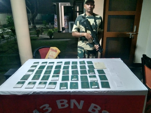 43 Bangladeshi passports seized along Indo-B’desh border: BSF