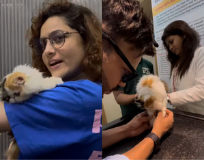 Ankita Lokhande, Vicky Jain get their 'baby' Mau vaccinated