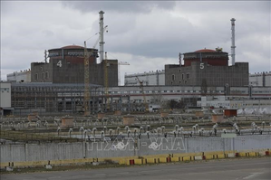 IAEA says still looking into cause of Zaporizhzhia nuclear plant fire