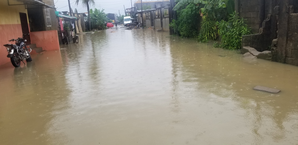 Floods kill eight, displace 60,000 in Cameroon's Far North region