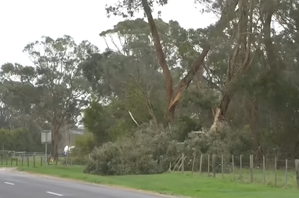 1 dead, thousands without power as severe winds hit Australia