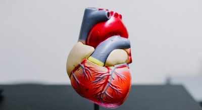 Study shows kidney, diabetes drug may boost survival in heart failure patients