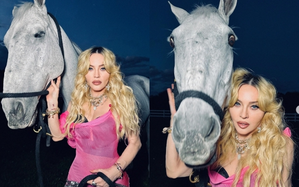 Equestrian Madonna is planning to introduce a new member in her stable