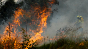 Authorities warn of likely early start to Australian bushfire season