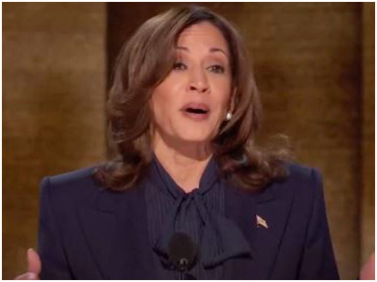 Kamala Harris Unveils ‘Ambitious’ Plan To Boost Small Businesses, Says ‘They’re Building Stronger America For Us’