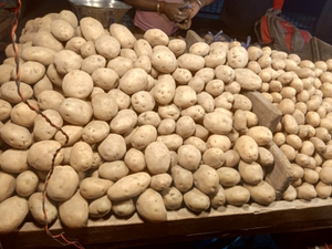 Potato prices in Bengal retail markets likely to rise as traders threaten strike