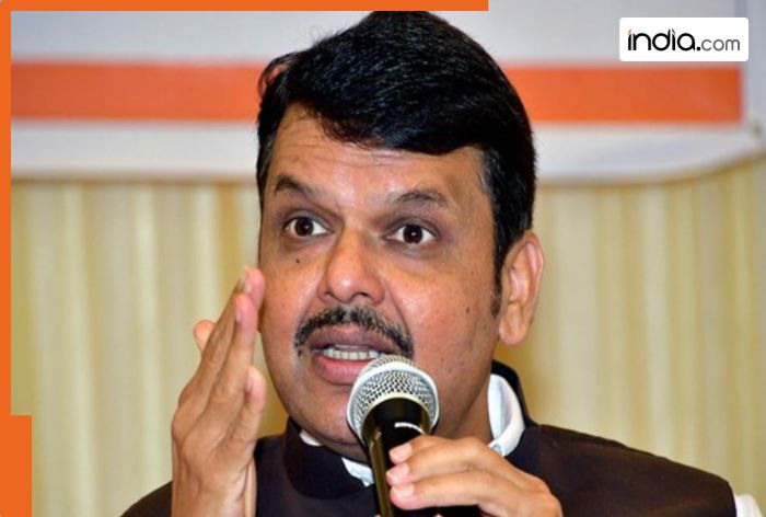 Maharashtra CM-elect Devendra Fadnavis’ movable and immovable assets are worth Rs…, his total income is Rs…, has properties worth crores. Check details inside